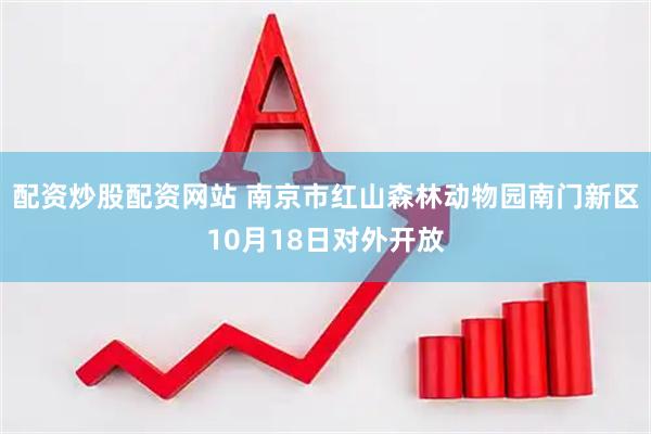 配资炒股配资网站 南京市红山森林动物园南门新区10月18日对外开放