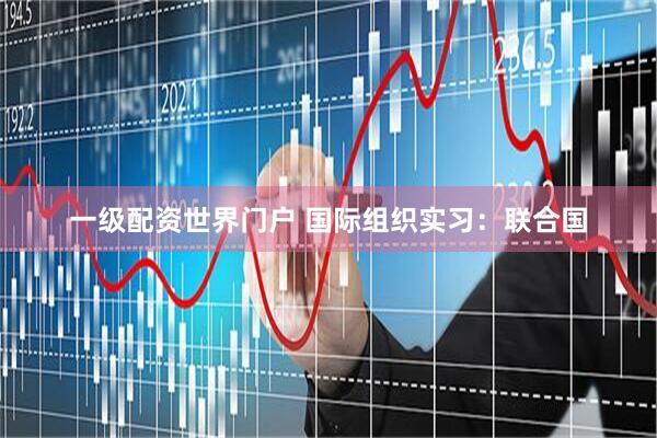 一级配资世界门户 国际组织实习：联合国